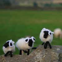 Group of Glencroft model sheep