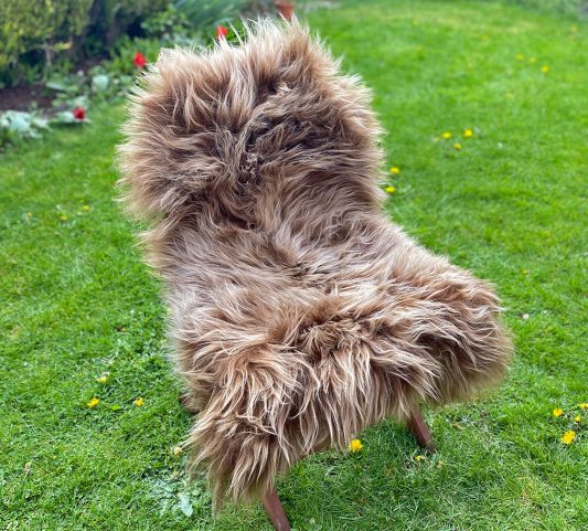 Caramel brown highland coo colour icelandic sheepskin rug on a chair