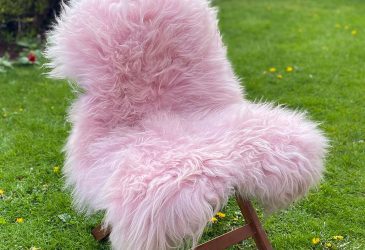Pink icelandic sheepskin rug on a chair