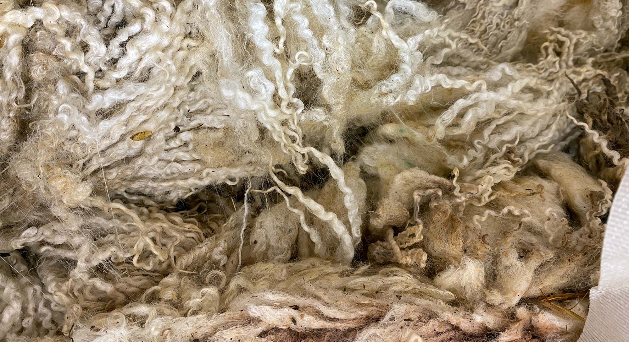 Part 2 Clapdale Wool Scouring, the cleaning process Glencroft