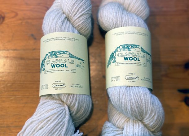 Two Clapdale Wool hand knit DK hanks